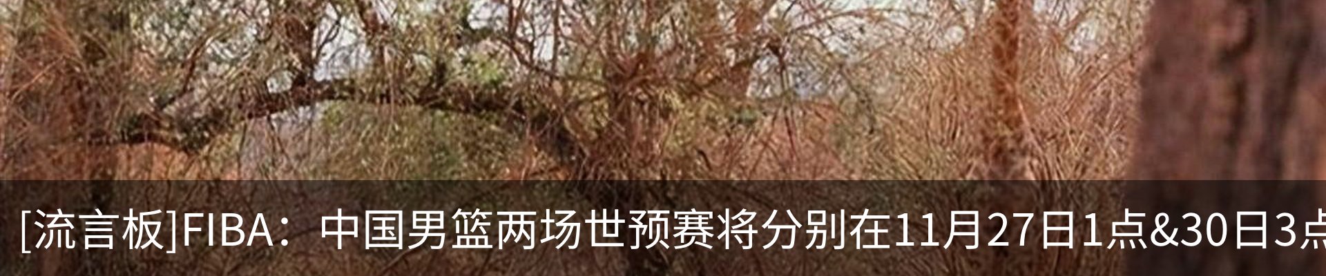 行业资讯
